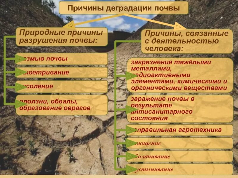 Причины и факторы разрушающие почву схема