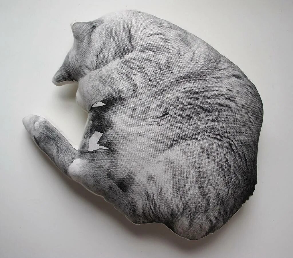 Характер кошки по подушечкам. Кот-подушка. Подушка спящий кот. Подушка кошка.