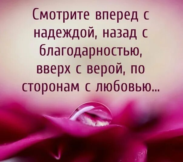 Вперед с надеждою назад с благодарностью. Вперед с надеждой назад с благодарностью вверх.