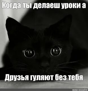 Гуляй без