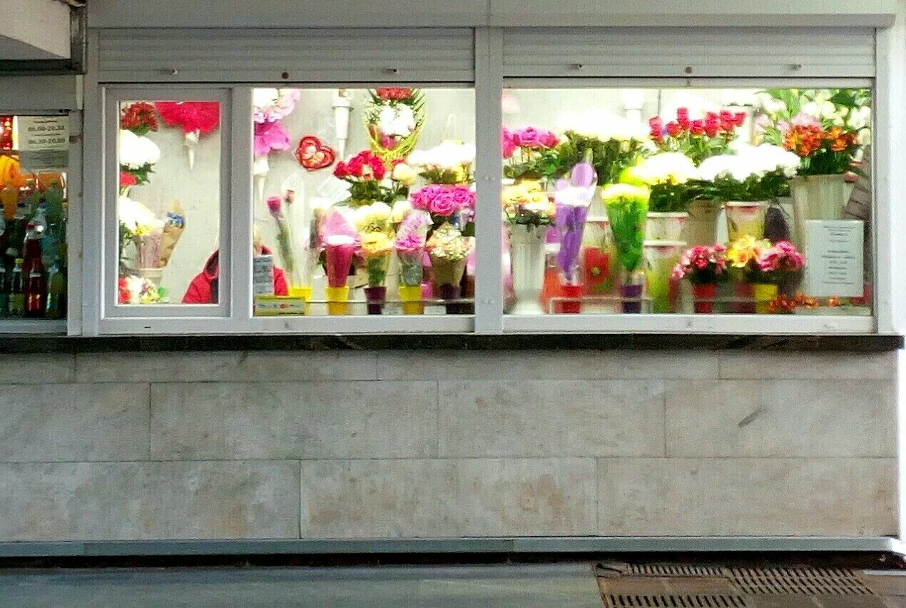 Дом цветов минск. Магазин цветов в минске. цветы минск. магазины цветов в минске адреса.