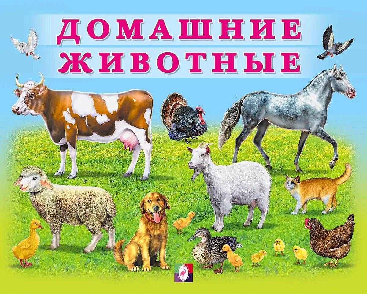 Домашние животные картинки для детей. Домашние животные для дошкольников. Малыши. Домашние животные. Домашние животные для детей в детском саду. Надпись домашние животные.