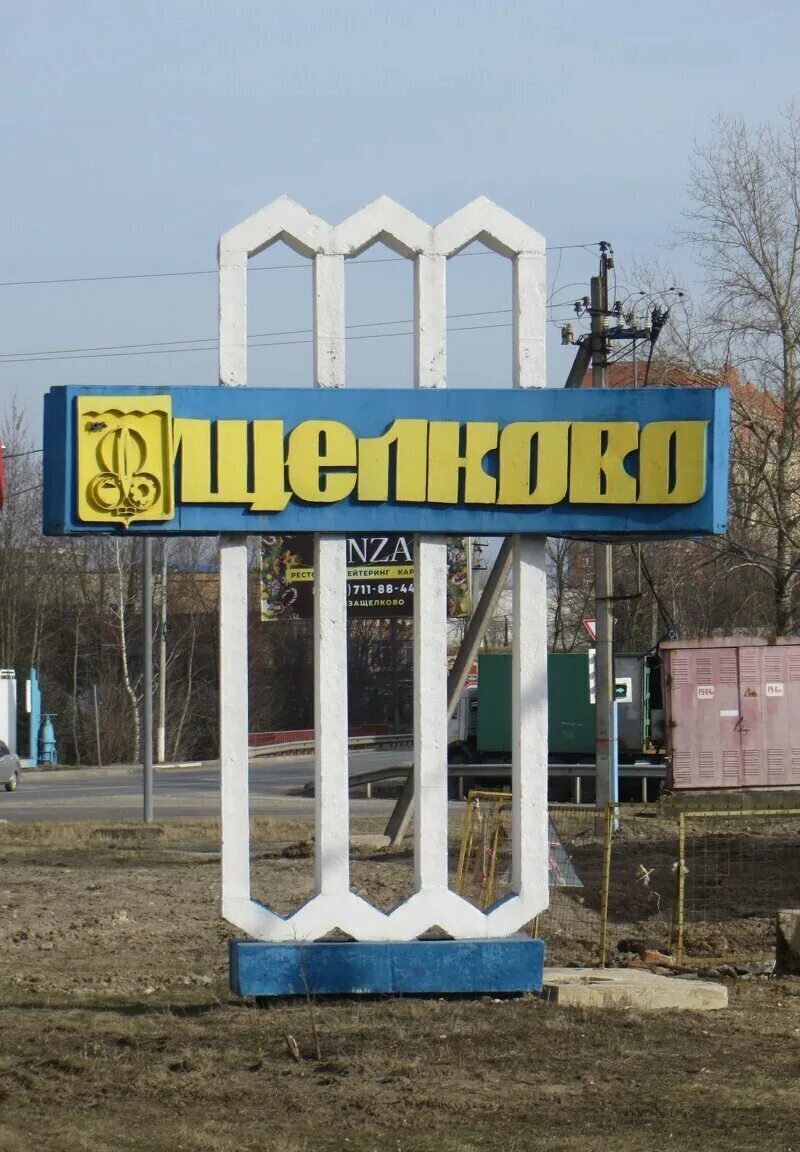 Моск. Г щелково я линия. Пушкина, д. Символы щелково. Щёлково фото города.