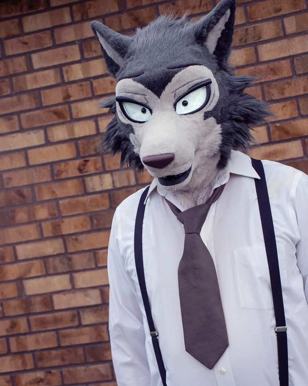 Furry cosplay. Фурсьют Легоши. Грей Вулф Cosplay. Фурри косплей. Косплей волка.