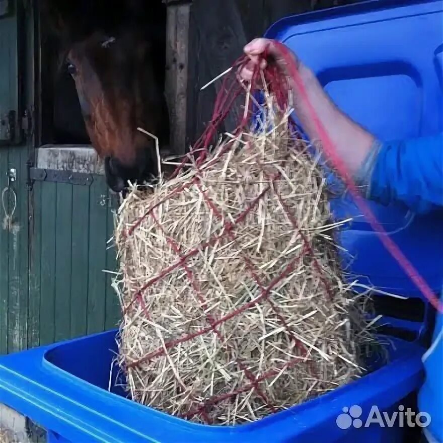 Пропариватель для сена. Запариватель сена для лошадей. Пропариватель для сена Sporthorse-vet. Кашолка для сена. Сена для чистки