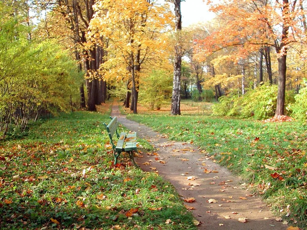 Чайковского, клин. Город клин музей чайковского. Чайковского, клин. Музей-заповедник п. Эко тропы столбы красноярск.