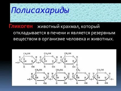 Биологическая роль крахмала