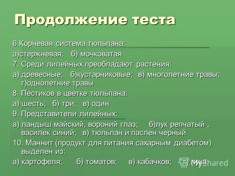 Корневая система тюльпана