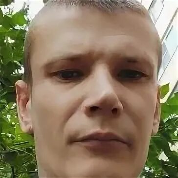 Фамилия скрипка