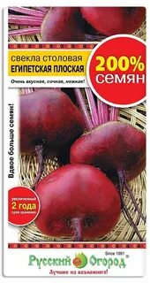 Свекла египетская отзывы