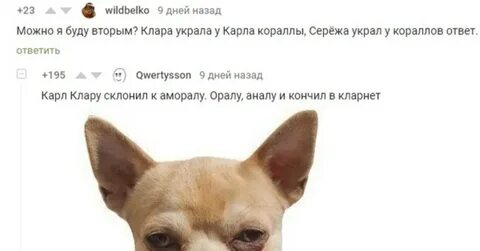 Украли сережу