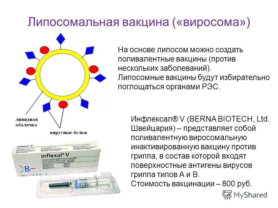 моновалентные вакцины примеры.