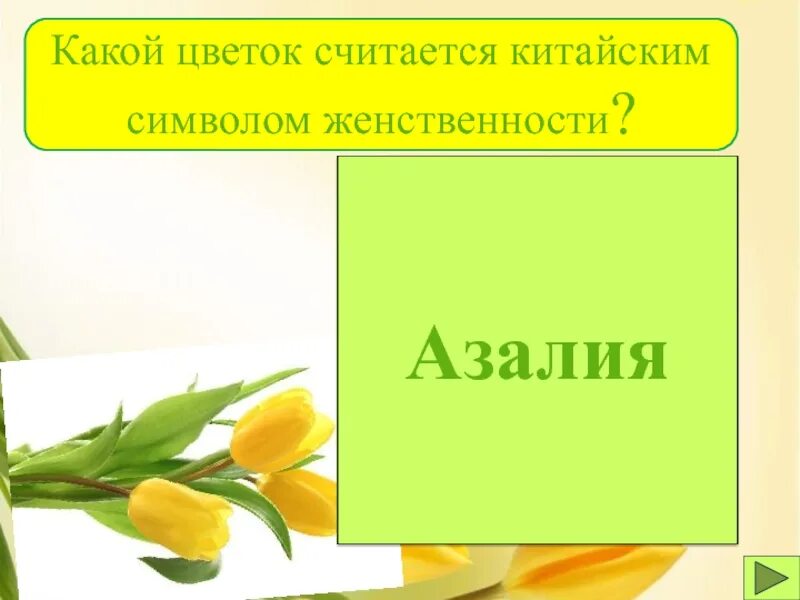 Какой цветок считается китайским символом женственности?. Какой цветок считается символом женственности. Какой цветок считается китайский цветок символ женственности. Какой цветок считается китайским символом женственности фото.