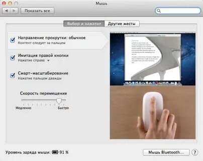 Несколько щелчков мыши