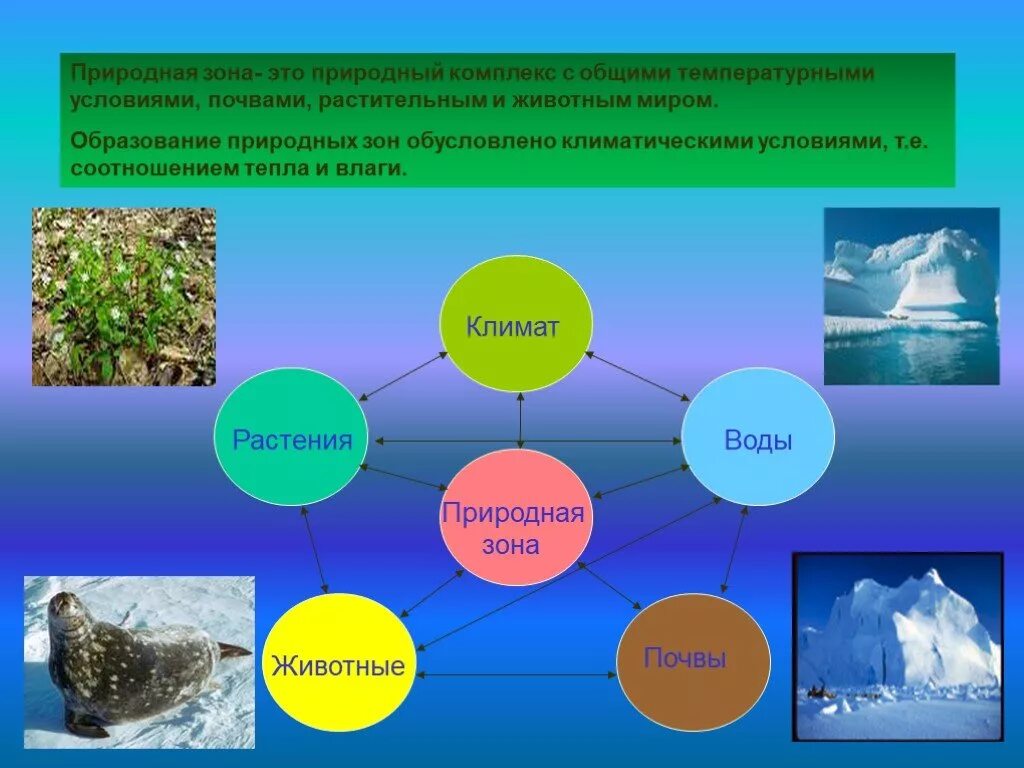 Изучение природных зон. Природный комплекс зоны. Природный комплекс климат. Схема природного комплекса.