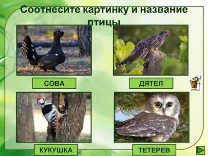 Соотнесите фотографии