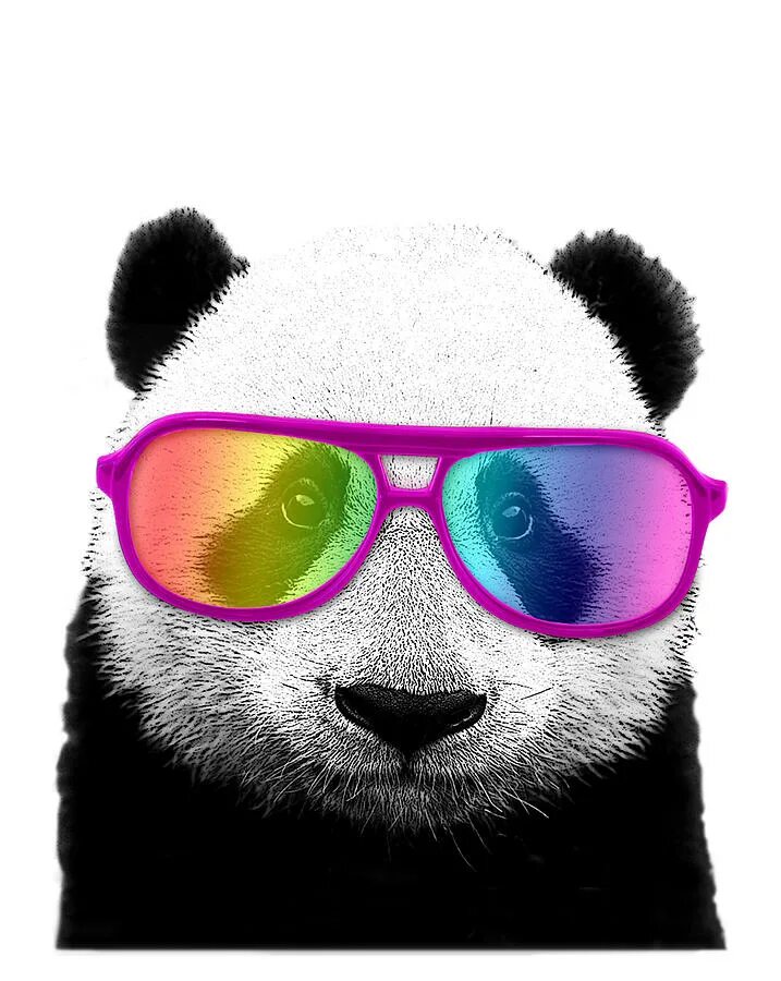 Дканда в осках. Крутая Панда в очках. Панда в очках арт.