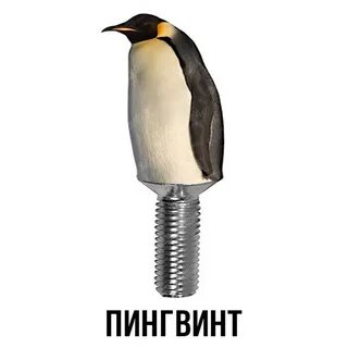 Пингвинишко