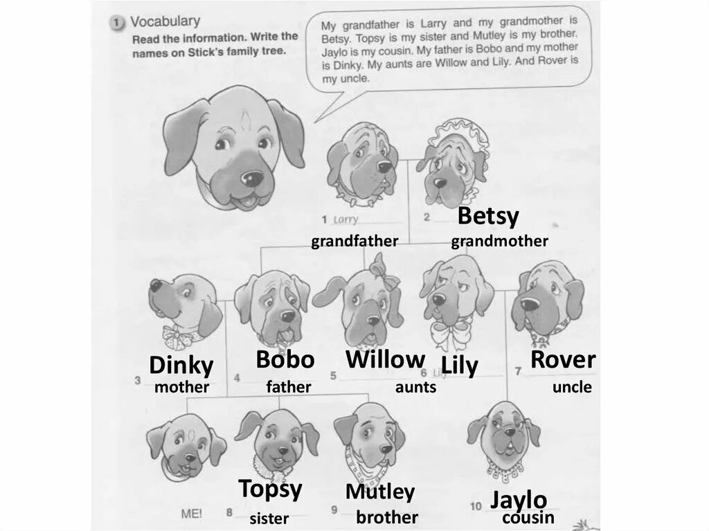 Рабочая тетрадь по английскому языку пятый класс. Look and write ответы. Read and complete гдз. Read and write the information. Английский look ,read and write.