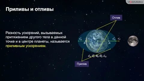 Приливы и отливы прогноз