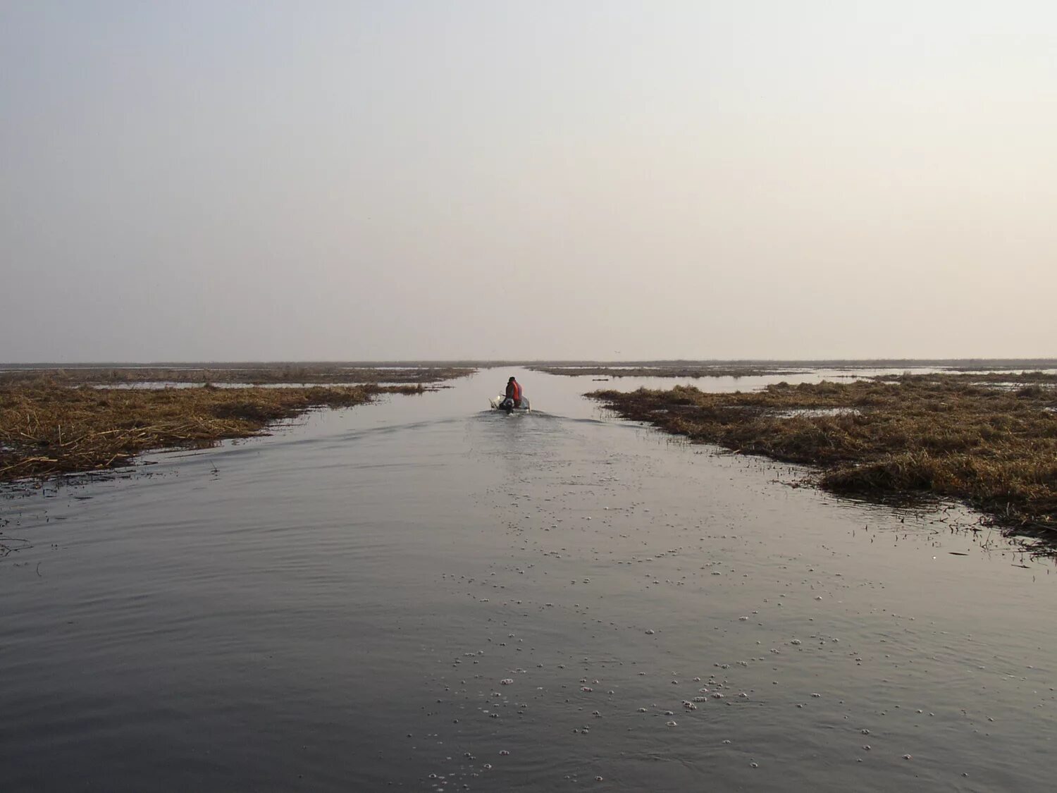 волховская губа красивый вид на ладогу. волховская губа. волховская губа. волховская губа. слава россии остров.