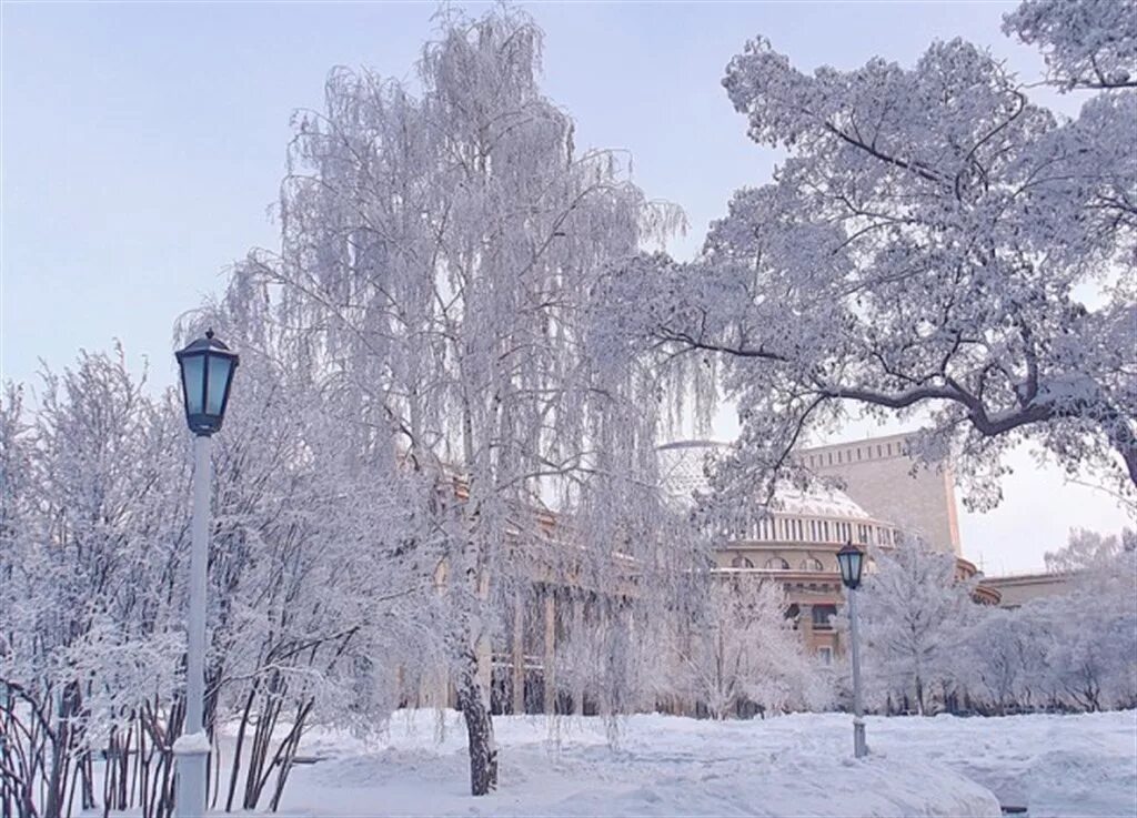 Фото снежного новосибирска