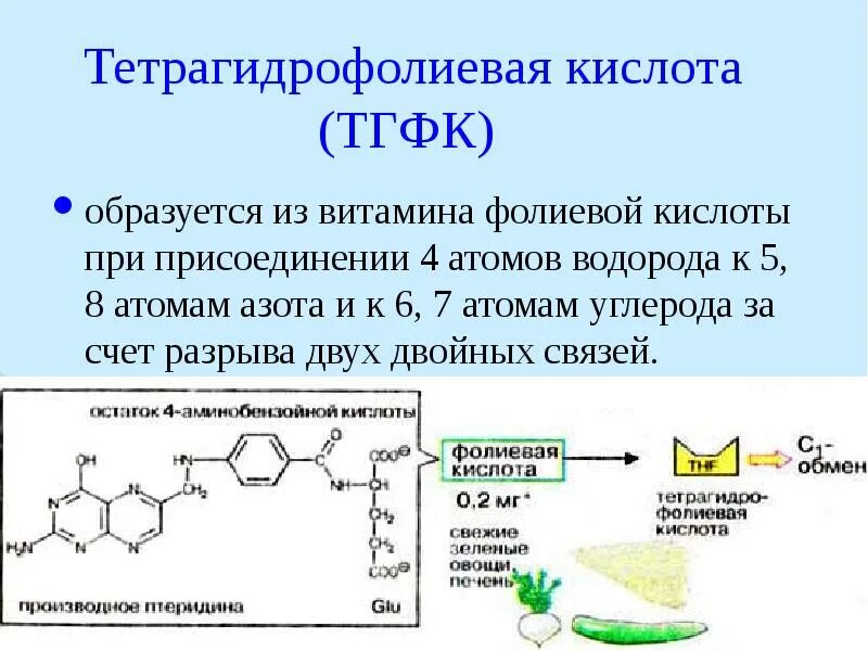 ТГФК кофермент витамина. B9 фолиевая кислота кофермент. Фолиевой кислоты ТГФК. Функции тетрагидрофолиевой кислоты.