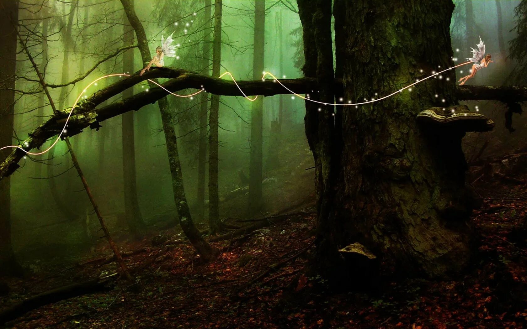 Тайны леса слияния. Мистический лес. Дремучий лес. Волшебный лес. Загадочный лес.