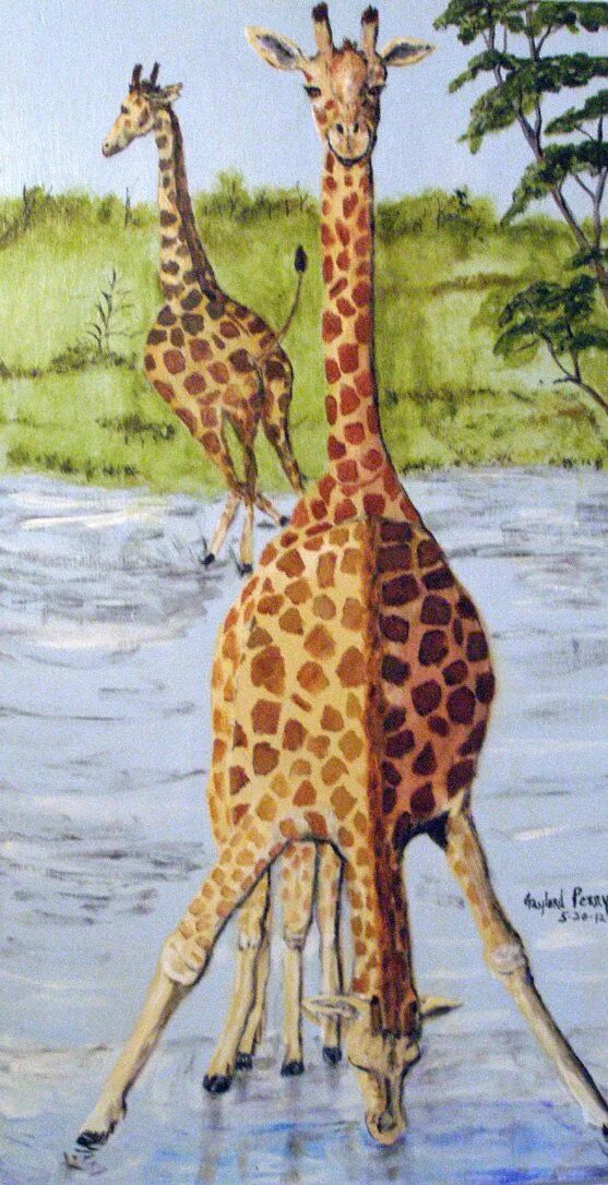 На рисунке изображен жираф. Рисование Жираф. Рисунок жирафа. Живописный Жираф. Рисование Жираф и Жирафик.