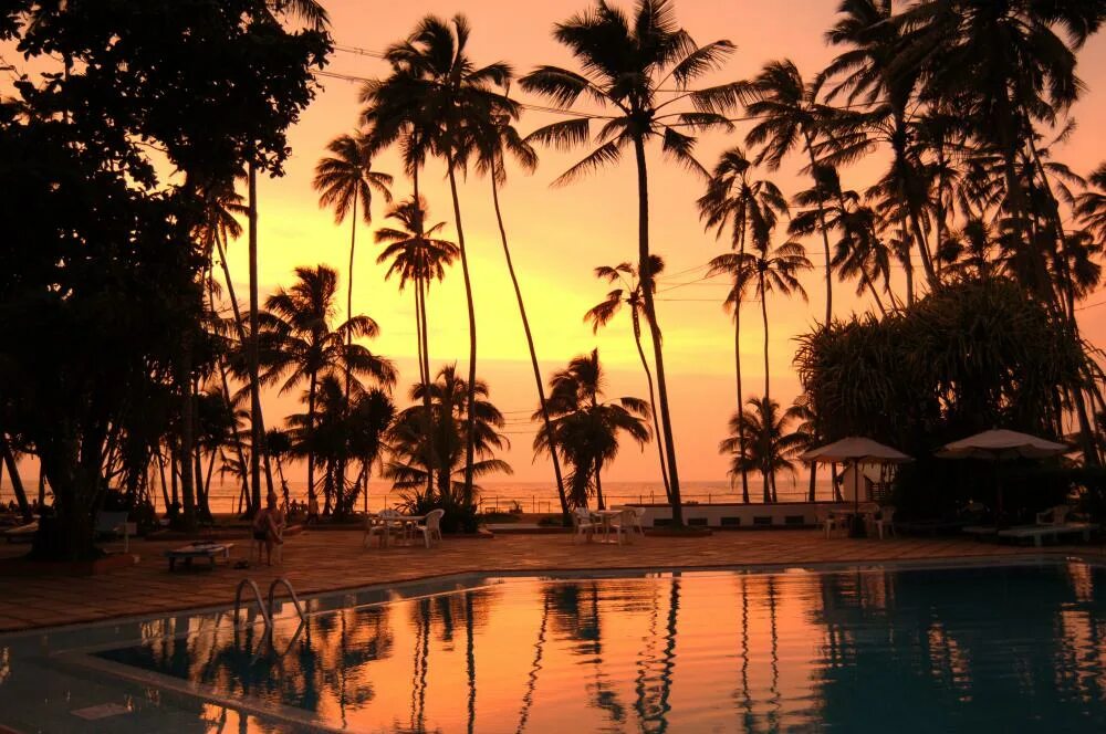 Шри ланка ваддува отель. Пляж ваддува шри ланка. Ваддува шри ланка. Ваддува шри ланка. Вадувва.