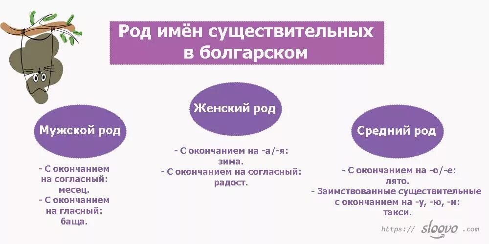 Контрольная работа род имен существительных. Род в болгарском языке. Артикли в болгарском языке. Существительные в болгарском языке. Существительное в болгарском языке.