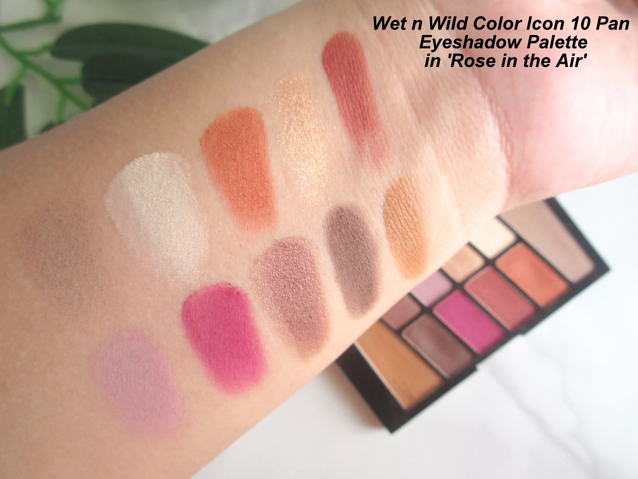 Wet n wild icon. Color icon 10 Pan Palette. Wet and Wild Color icon 10. Wet n Wild палетка теней для век Color icon 10 Pan Palette. Wet n Wild Color icon палетка теней Ros in the Air.