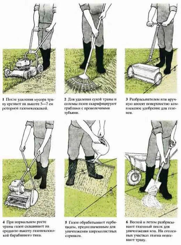 Правила газона. Услуги газона. Схема устройства рулонного газона. Рулонный газон. Дерн газон.