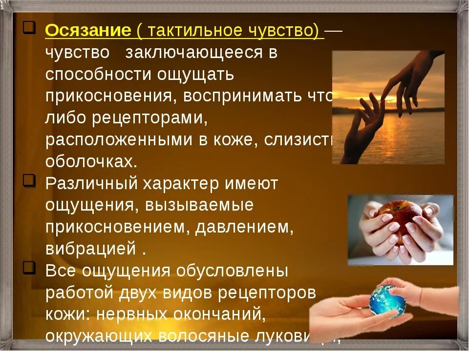 Суть ощущения состоит. Осязательные ощущения. тактильные ощущения. что такое тактильность кратко. что позволяет коже ощущать прикосновения?.