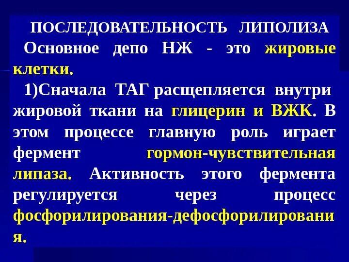 Процесс липолиза. Липолиз жиров биохимия. Липолиз процесс биохимия. Липолиз в жировой ткани биохимия. Тканевой липолиз биохимия.