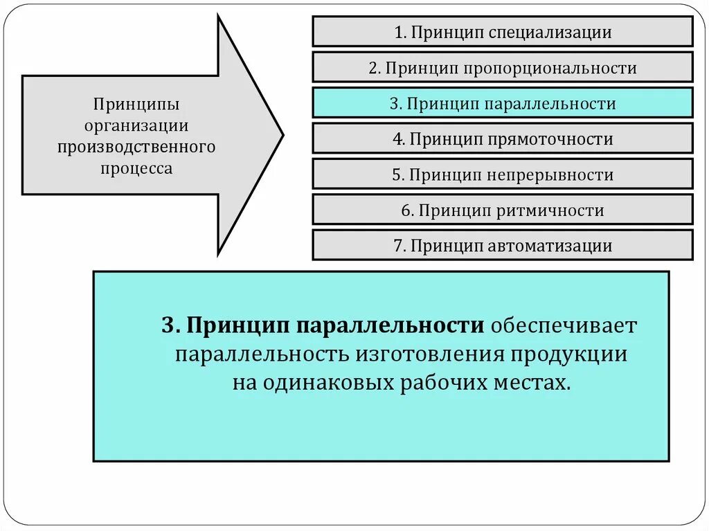 4 принципа производства. Принципы организации производственного процесса. Принципы организации производственного процесса пропорциональность. Принцип специализации производственного процесса. Принцип прямоточности организации производственного процесса.