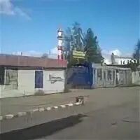 Кубинка стар
