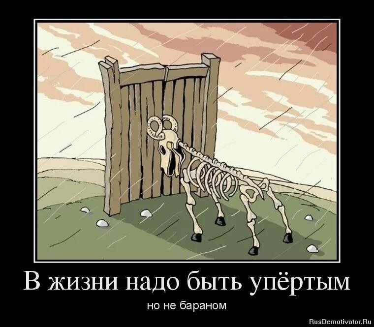 Будьте настойчивы упорны но не упрямы помните. Будьте настойчивы упорны но не упрямы помните