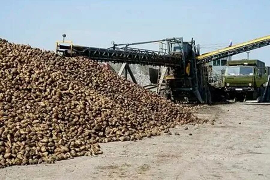 Заводы курганинска. Курганинский сахарный завод. Краснодарский край сахара завод. Сахарный завод Усть-Лабинск. Курганинский сахарный завод бумы.