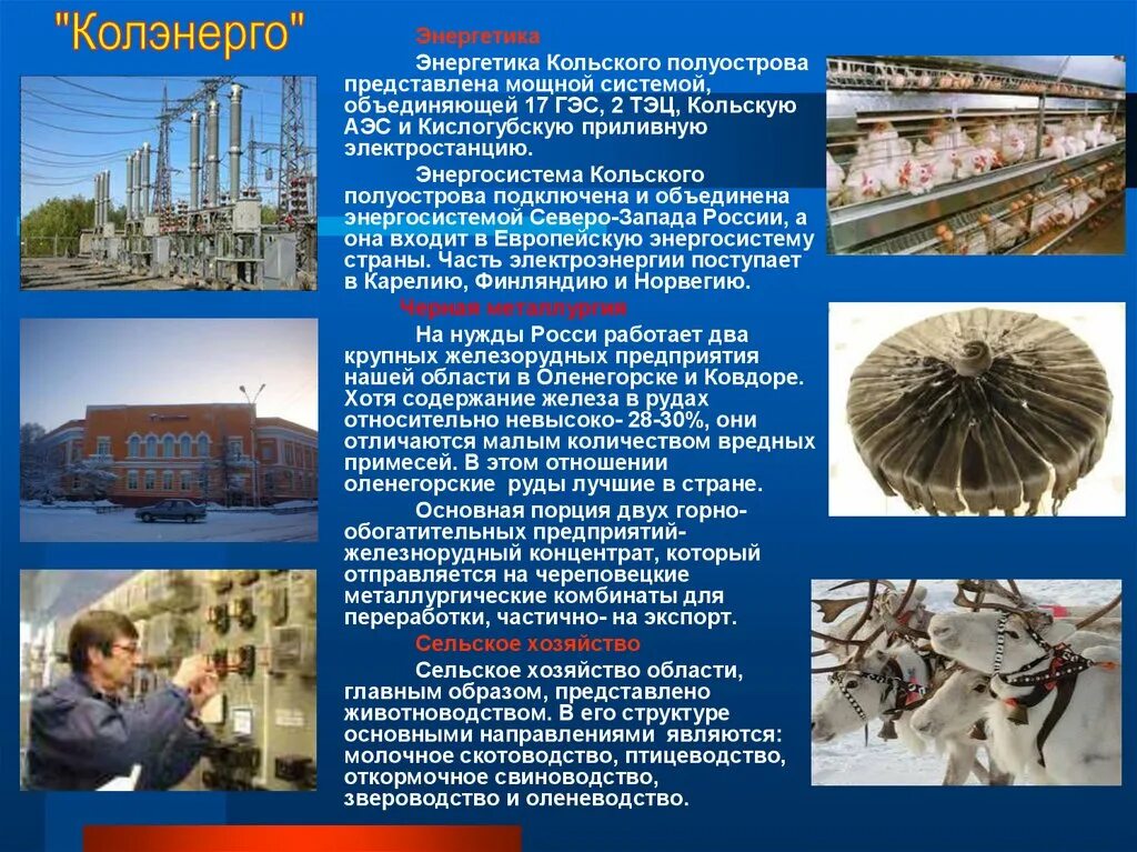 Экономика Мурманской области. Отрасли хозяйства Мурманской области. Отрасли экономики Мурманской области. Промышленность Мурманской области.