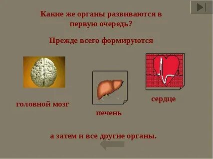 Печень это орган какой