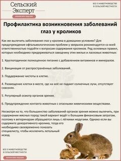 Почему кроликам нельзя давать