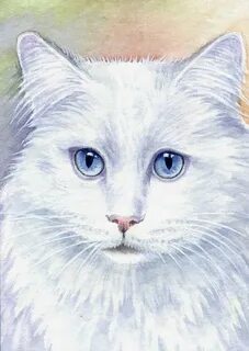 Нарисовать белую кошку