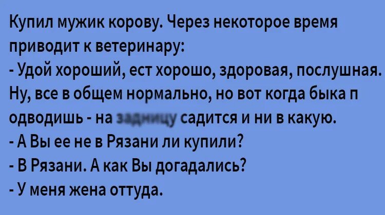 анекдот про корову и рыбака. анекдоты про корову смешные. шутки про коров. анекдот про корову и яблоки. анекдот про корову из рязани.