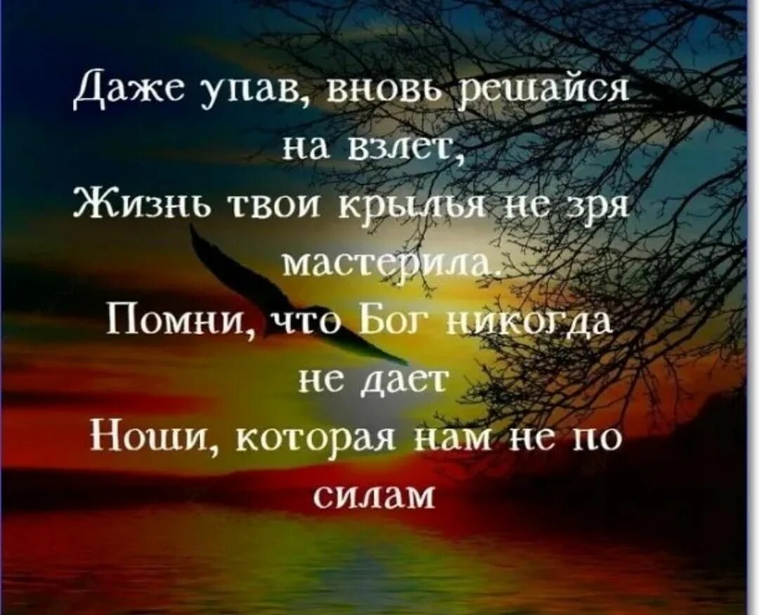 Группы про жизнь. Красивые слова про жизнь. Открытки со смыслом о жизни. Красивые картинки со смыслом. Статусы про жизнь в картинках.