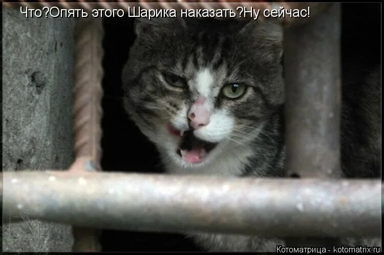 ну сейчас подойду