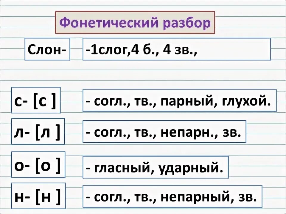 Слово слон сколько букв и звуков. Слон фонетический разбор. Звукобуквенный анализ слова слон. Звуко буквенный анализ схема. Звуко буквенный анализ слова слон 1 класс.