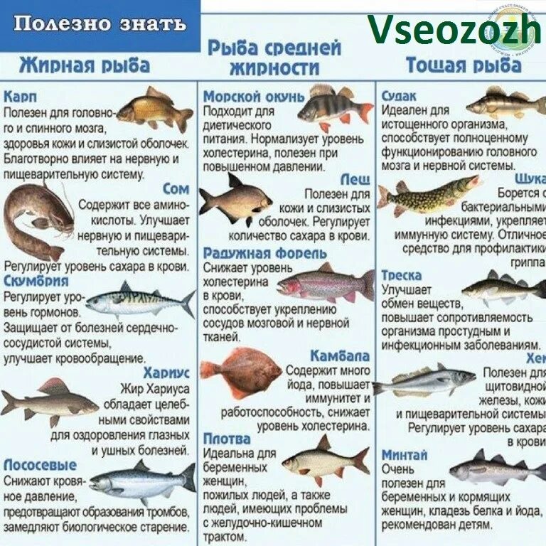 Какую рыбу давать ребенку до года