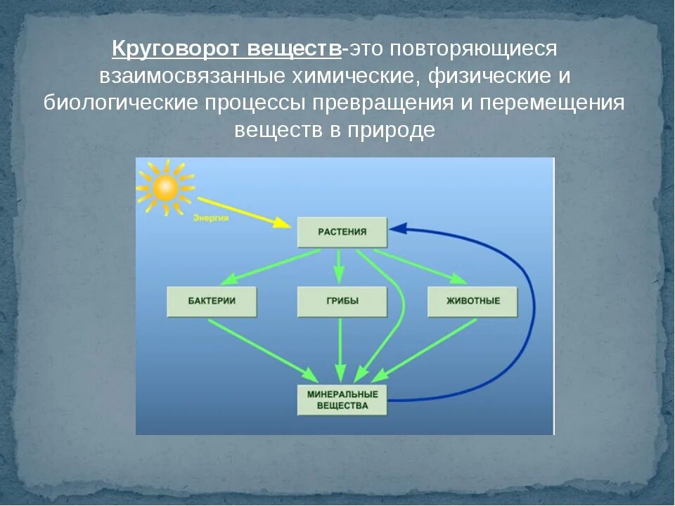 Цикле среда обитания. Круговорот веществ и энергии в природе схема. Круговорот веществ в природе 5 класс биология. Таблица круговорот веществ в природе 5 класс. Схема биологического круговорота веществ.