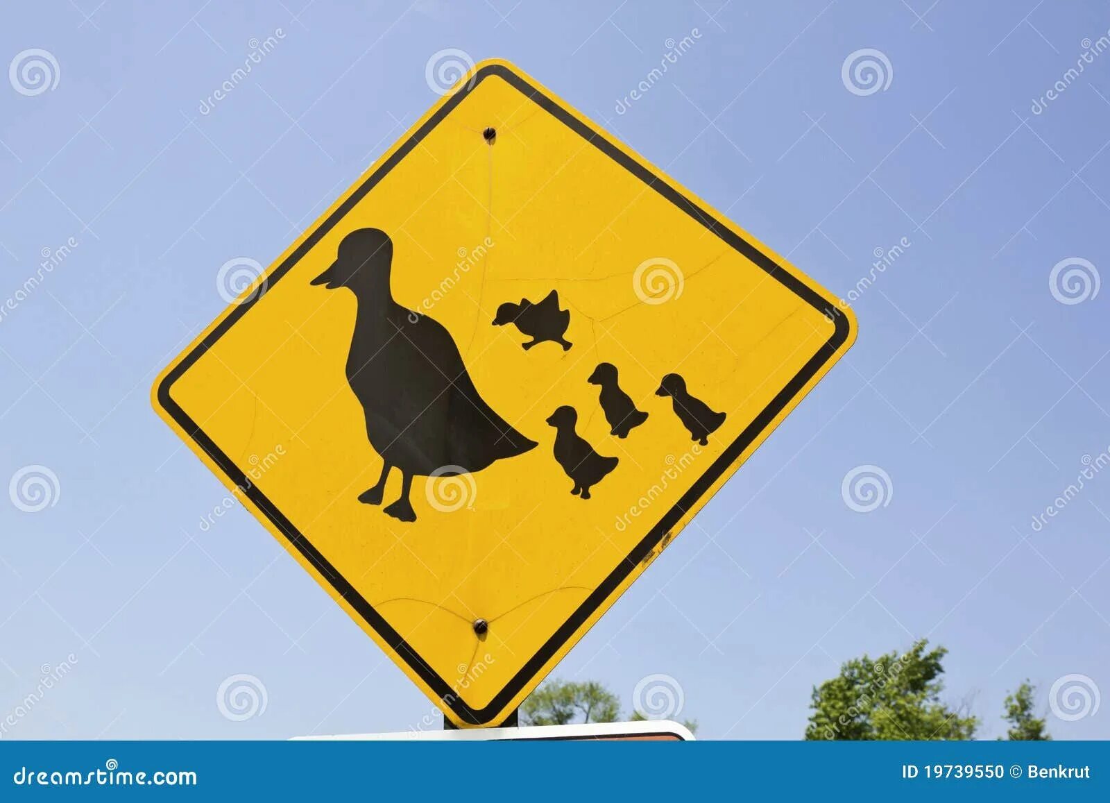 Знак с утками. Дорожный знак с утками. Знак осторожно утки. Знак уточки дорожный. Знак утка с утятами.